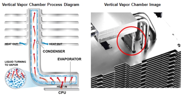 cm vvc_1