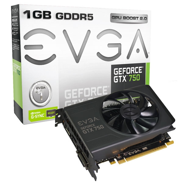 evga GTX750Ti750-4