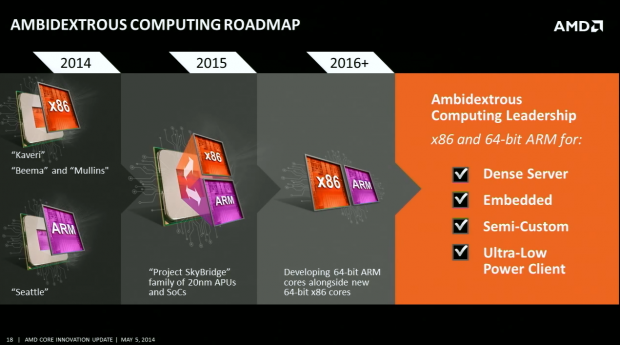 AMD-Skybridge-01