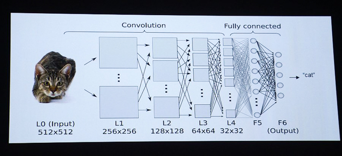 convolution neural network