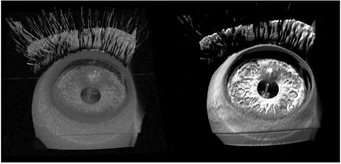 enhanced raycasting rendering