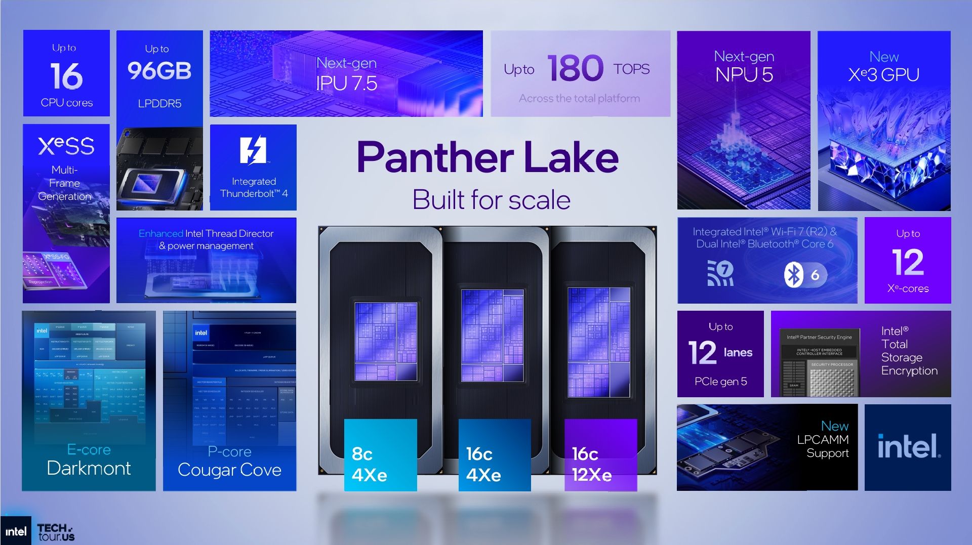 PantherBigPic