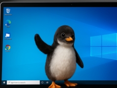 Hackers bypass Windows defences by installing Linux