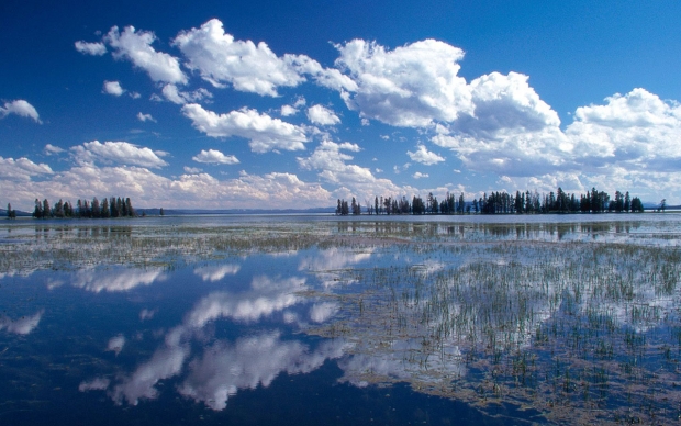 Skylight on Skylake