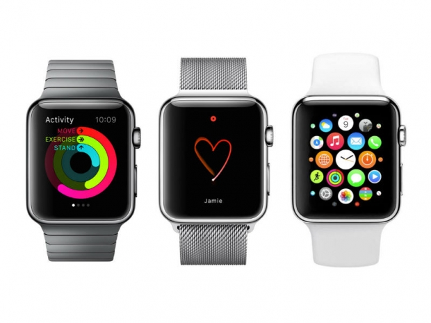 Developers can&#039;t do anything with the iWatch