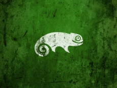 Suse prepares for 64-bit Arm servers