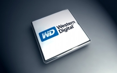 Tsinghua buys a big slice of Western Digital