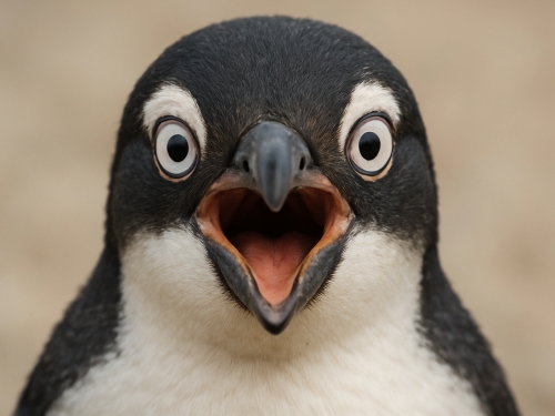 AMD slips RDNA 3.5 IGPU firmware into Linux
