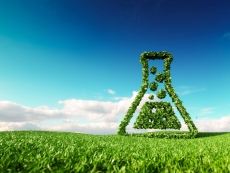 EU looks to green fuel alternatives