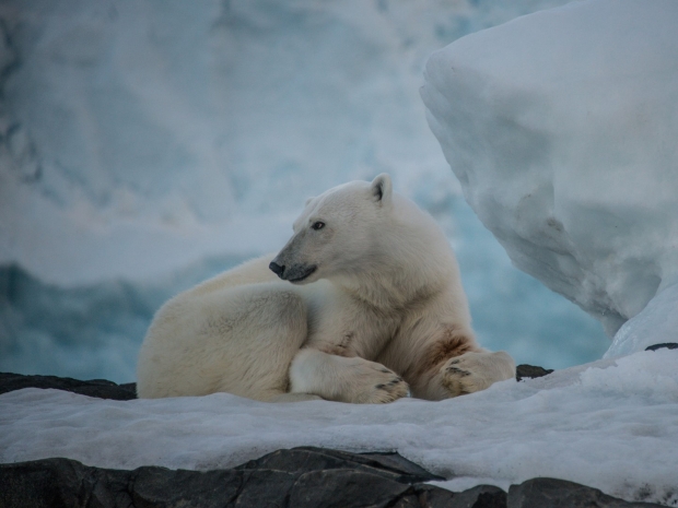 Tech billionaires digging up Greenland