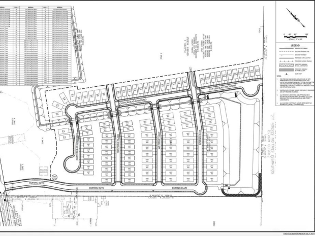 Musk wants to build utopia in Texas